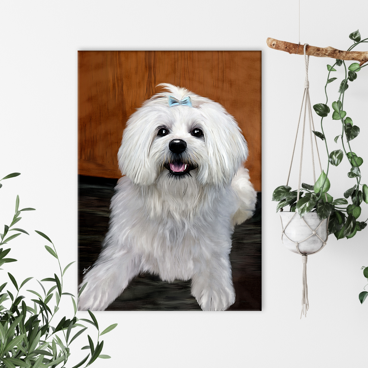 06_-_Coastal_Interior_cani6.jpg